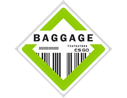 The Baggage Collection collection artwork